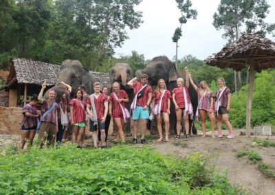Elephant Care Chiang Mai Doi Inthanon - Elephants