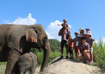 Elephants at Chiang Mai Doi Inthanon Elephant Sanctuary