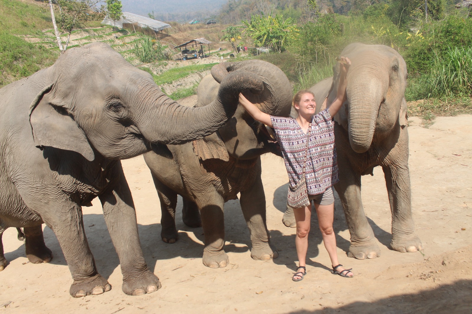 Play with Elephants Doi Inthanon Elephant Sanctuary