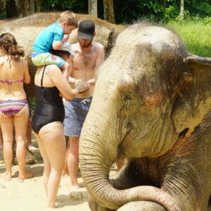 Samui Elephant Mud Spa Experience