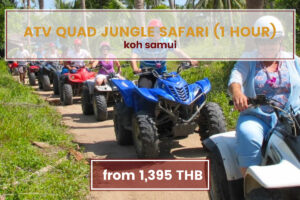 ATV Quad Jungle Safari (1 Hour) Koh Samui Tours www.nettoursasia.com