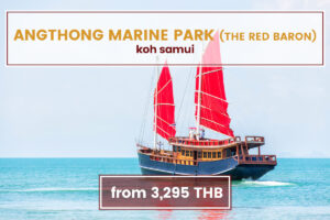 Angthong Marine Park – The Red Baron Koh Samui Tours www.nettoursasia.com