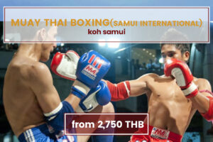 Muay Thai Boxing Samui International Stadium Koh Samui Tours www.nettoursasia.com