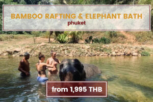Rafting, Elephant Bathing & ATV (3 in 1 Tour) Phuket Tours www.nettoursasia.com