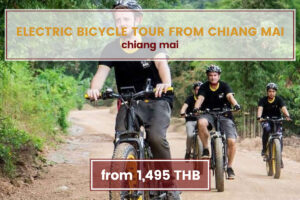 Cycling Tour Half-Day E-bike around Ping River and Rice Paddies Chiang Mai Tours www.nettoursasia.com