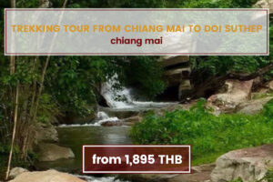 Trekking Experience Doi Suthep Chiang Mai Tours www.nettoursasia.com
